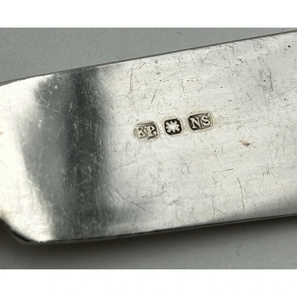 Vintage Silver Plate Fish‎ Knife & Fork Set 12 Piece Ivory Celluloid Handles